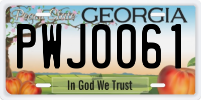 GA license plate PWJ0061