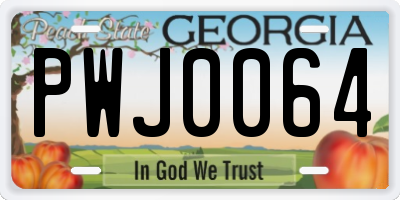 GA license plate PWJ0064