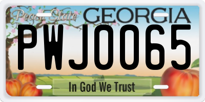 GA license plate PWJ0065