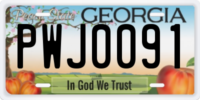 GA license plate PWJ0091