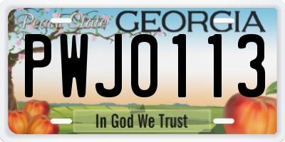 GA license plate PWJ0113