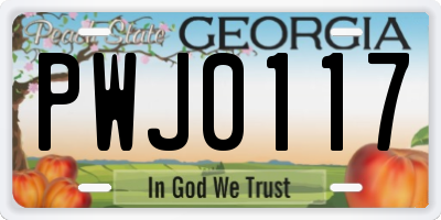 GA license plate PWJ0117