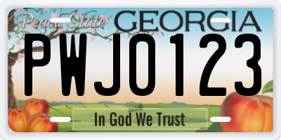 GA license plate PWJ0123