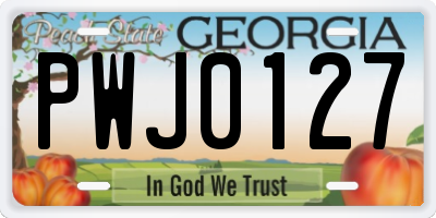 GA license plate PWJ0127
