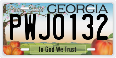 GA license plate PWJ0132
