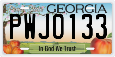 GA license plate PWJ0133