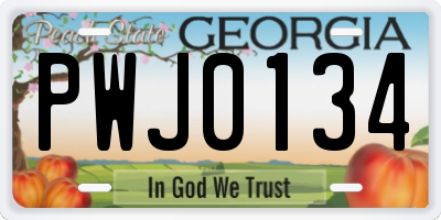 GA license plate PWJ0134