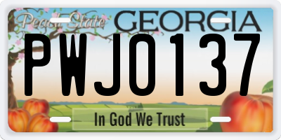 GA license plate PWJ0137
