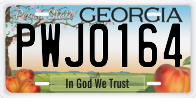 GA license plate PWJ0164