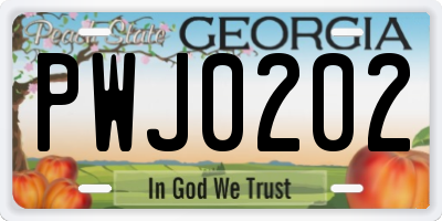GA license plate PWJ0202