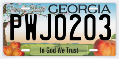GA license plate PWJ0203