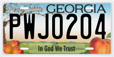 GA license plate PWJ0204