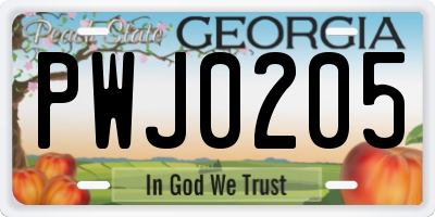 GA license plate PWJ0205