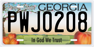 GA license plate PWJ0208