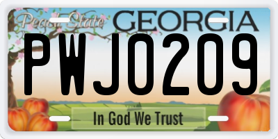 GA license plate PWJ0209