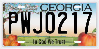 GA license plate PWJ0217