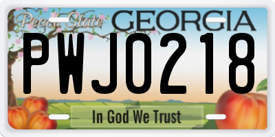 GA license plate PWJ0218