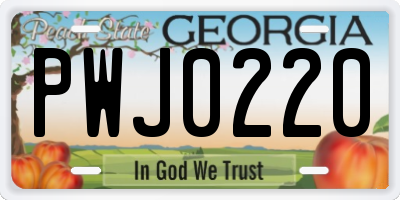 GA license plate PWJ0220