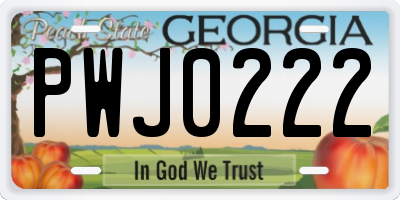 GA license plate PWJ0222