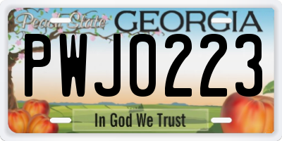 GA license plate PWJ0223