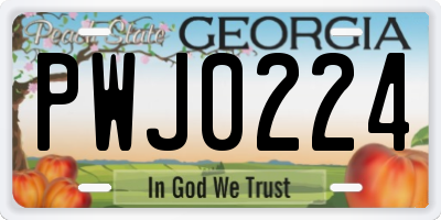 GA license plate PWJ0224
