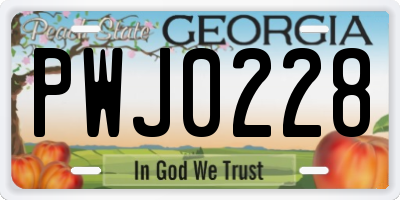 GA license plate PWJ0228
