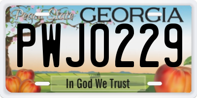 GA license plate PWJ0229