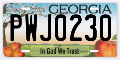 GA license plate PWJ0230