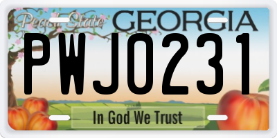 GA license plate PWJ0231