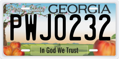 GA license plate PWJ0232