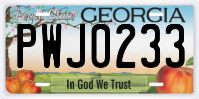 GA license plate PWJ0233
