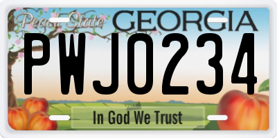GA license plate PWJ0234