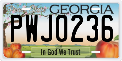 GA license plate PWJ0236