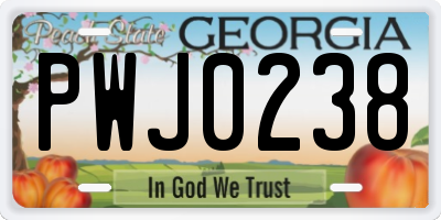 GA license plate PWJ0238