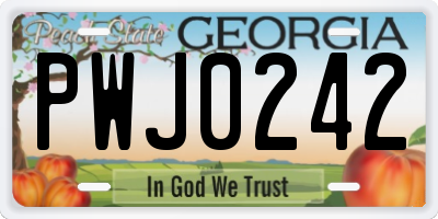 GA license plate PWJ0242