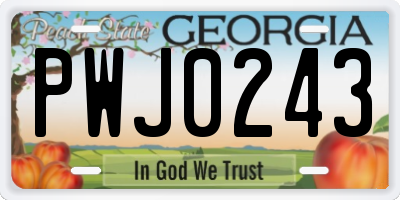 GA license plate PWJ0243