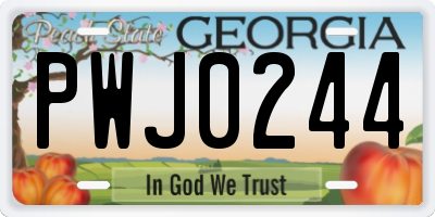GA license plate PWJ0244