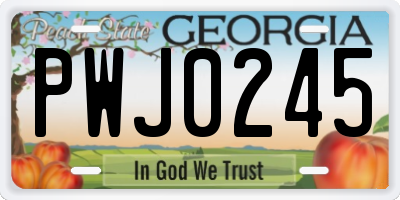 GA license plate PWJ0245