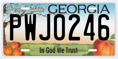 GA license plate PWJ0246