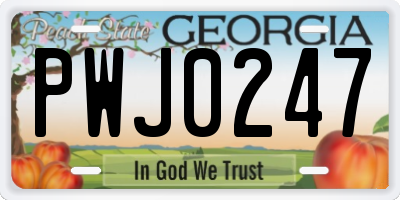 GA license plate PWJ0247