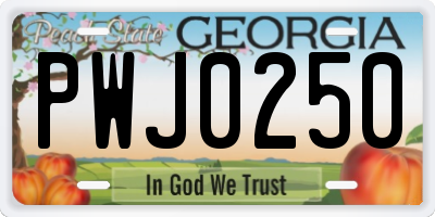 GA license plate PWJ0250
