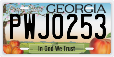 GA license plate PWJ0253