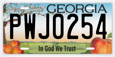 GA license plate PWJ0254