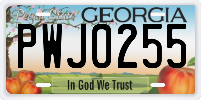 GA license plate PWJ0255