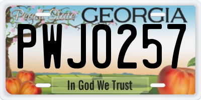 GA license plate PWJ0257