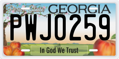 GA license plate PWJ0259
