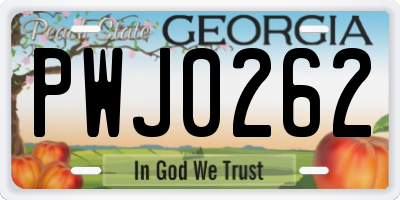 GA license plate PWJ0262