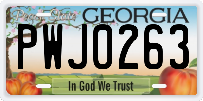 GA license plate PWJ0263