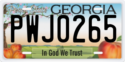 GA license plate PWJ0265