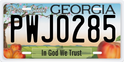 GA license plate PWJ0285